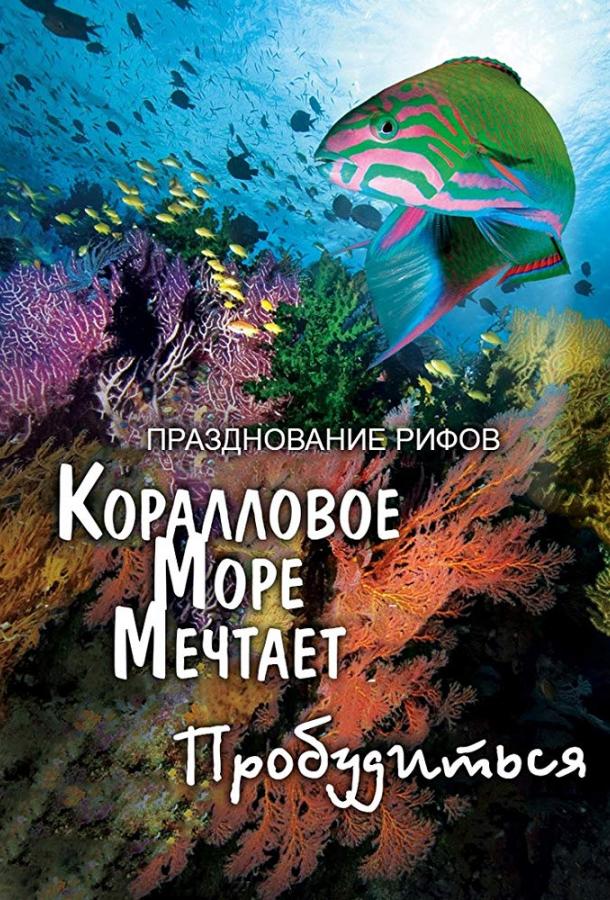 Грёзы Кораллового моря: Пробуждение