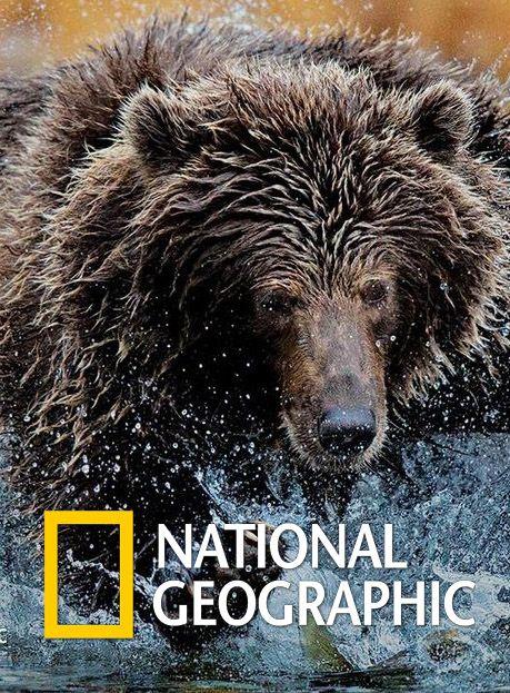 National Geographic. Империя гризли ( [12+])