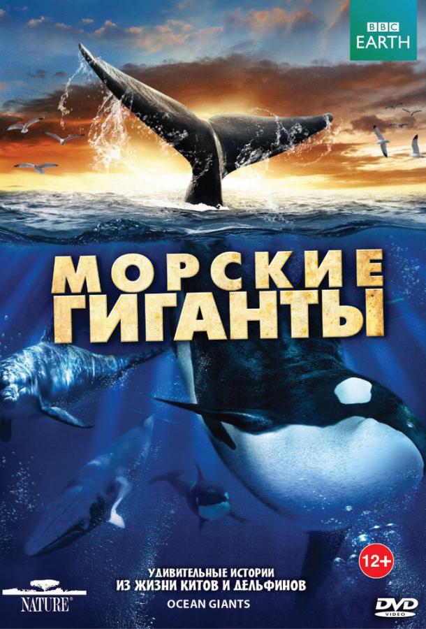 BBC: Морские гиганты ( [12+])