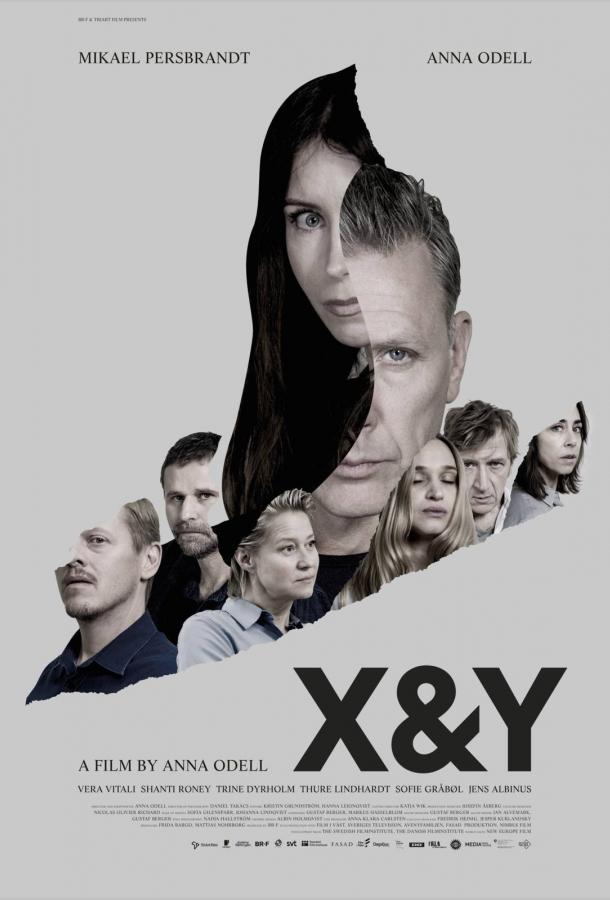 X и Y ()