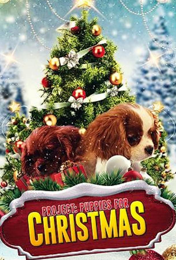 Project: Puppies for Christmas ()