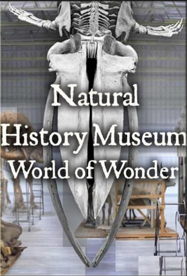 Natural History Museum: World of Wonder ()