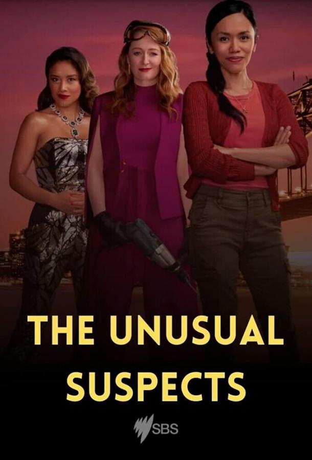 The Unusual Suspects ()